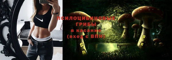 2c-b Лабытнанги
