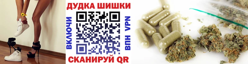 продажа наркотиков mega tor Каннабис сатива Шимановск